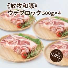 放牧和豚のウデ肉を500gの塊ブロックに分けて2kg分用意しました。真空パックでお届けします。 一番のおすすめは焼豚です。 柔らかくすることで、旨味が凝縮されたウデを食べやすくして、楽しんでいただけま