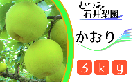 【むつみ石井梨園】松戸の新鮮もぎたて梨「かおり」3kg