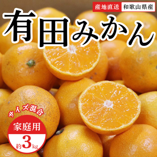 和歌山県産　有田みかん　3kg　家庭用
※着日指定不可
※北海道・沖縄・離島への配送不可
※2023年11月上旬～2024年1月下旬頃に順次発送予定 977879 - 和歌山県美浜町