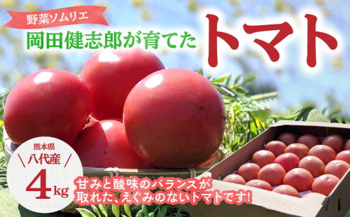 【先行予約】【定期便 3回】 野菜ソムリエ岡田健志郎が育てた トマト4kg 定期便トマト 野菜 熊本県八代市産【2024年12月上旬より順次発送】 977882 - 熊本県八代市