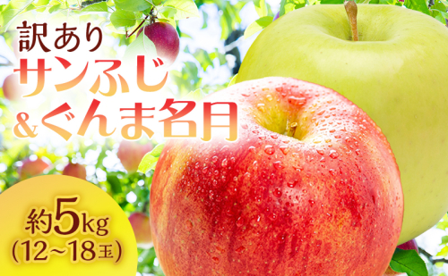 【訳あり】サイキチ農園のサンふじ・ぐんま名月セット 約5kg(12～18玉) 青森県鰺ヶ沢町産りんご 979077 - 青森県鰺ヶ沢町
