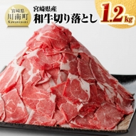 ※数量限定※ 宮崎県産和牛切り落とし1.2kg 【 国産牛 牛肉 肉 お肉 切落し 】