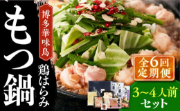 ※こちらは全6回お届けの定期便商品です。■本場、博多華味鳥の旨味をご家庭で。本場博多のもつ鍋に、水たき料亭「博多華味鳥」流のアレンジを加え、九州産銘柄鶏「華味鳥」のぷりっぷりのハラミと、新鮮なもつを組