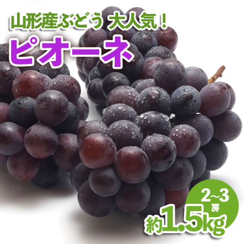 山形産 ぶどう 大人気！ピオーネ 約1.5kg 【令和8年産先行予約】FU23-537 979855 - 山形県山形市