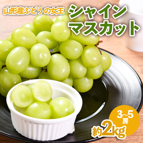 山形産 ぶどうの女王 シャインマスカット 約2kg FZ23-539 979859 - 山形県山形市