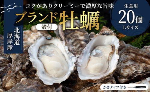 厚岸産　殻付カキLサイズ20個（生食用） 魚貝類 生牡蠣 かき 牡蠣 マルえもん メルマガ掲載商品2 979860 - 北海道厚岸町