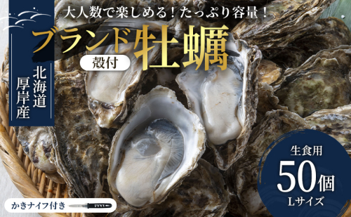 パーティー用 北海道 厚岸産牡蠣 Lサイズ50個入（目安：10人前） ふるさと納税 北海道 牡蠣 カキ かき 生食 生食用 生牡蠣 パーティー ミルク 魚貝類 殻付き牡蠣 シーフード マルえもん 979863 - 北海道厚岸町