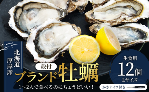 北海道厚岸産 牡蠣 Lサイズ 1ダース（12個入り） 生食用 生牡蠣 貝付き牡蠣 貝 海鮮 魚介類 シーフード 殻付き牡蠣 マルえもん メルマガ掲載商品1  979864 - 北海道厚岸町