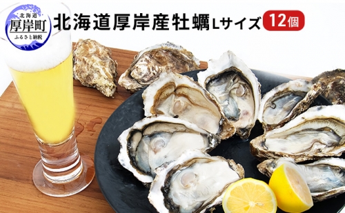 北海道厚岸産 牡蠣 Lサイズ 1ダース（12個入り） 生食用 979864 - 北海道厚岸町