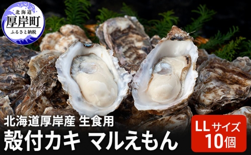 北海道 厚岸産 生食用 殻付カキ LLサイズ 10個 マルえもん 牡蠣 979874 - 北海道厚岸町