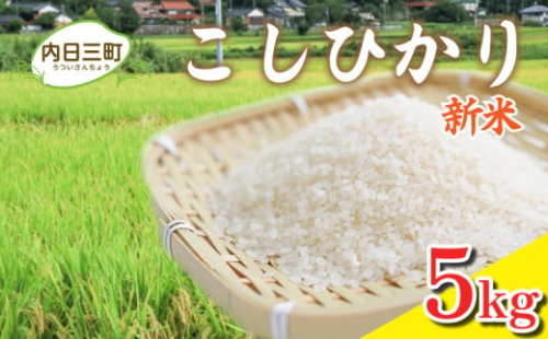 【先行予約】令和7年度米 コシヒカリ 5kg 山口県産 特別栽培エコ50 (化学農薬・肥料50％以上削減/精米まで一貫加工) 【2026年1月より順次発送】