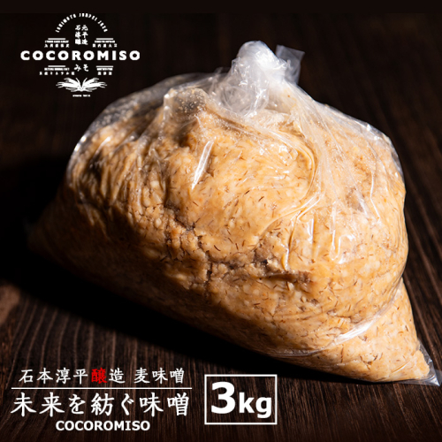 鹿児島県長島町産！未来を紡ぐ味噌 (3kg)【石元淳平醸造】cocoro-7014 980260 - 鹿児島県長島町