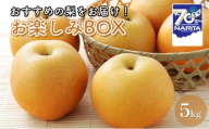 [№5904-0487]おすすめの梨をお届け！お楽しみBOX