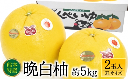 【先行予約】 晩白柚3Lサイズ 2玉入り 約5kg 【2024年12月中旬より順次発送】 980726 - 熊本県八代市
