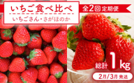 【全2回定期便】いちご食べ比べ定期 総計1kg（さがほのか いちごさん）【むらおか農園】 [HAF026]