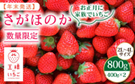 【先行予約】【農薬0への挑戦】【年末発送】王様のいちご さがほのか 800g（400g×2箱）【むらおか農園】 [HAF029]