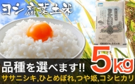 令和5年産 品種が選べる ヨシ腐葉土米  特別栽培米 精米5kg ＜ササニシキ＞