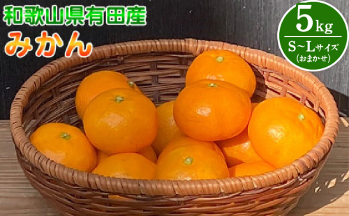 BT6011n_和歌山県有田産 みかん 5kg　L～Sサイズ（おまかせ）
 981490 - 和歌山県湯浅町