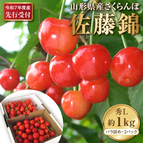 【令和7年産先行予約】さくらんぼ佐藤錦 秀L1kg以上(500gバラ詰め×2パック)山形県河北町産【晴天畑】 981496 - 山形県河北町