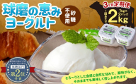 [3ヶ月定期便] 球磨の恵み ヨーグルト(砂糖不使用) 2kg(1kg×2パック)×3回 合計6kg ヨーグルト 無糖