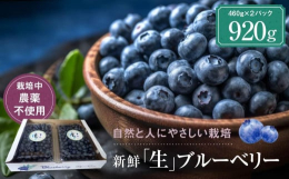 治助ファームで栽培するのは「ハイブシュ系」のブルーベリーで、寒冷地ならではの品種です。特徴は粒が大きく、爽やかな甘みとしっかりとした酸味が特徴で、粒感のないなめらかな舌触りです。生食はもちろん、ジャム