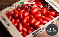 完熟収穫 サンマルツァーノトマト 約1.6kg (800g×2箱) 八代市産 サンマルツァーノリゼルバ  トマト