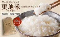 ＜太閤秀吉も食したお米＞低農薬・低化学肥料 ぎふ県産ハツシモ「更地米（さらぢまい）」10kg（5kg×2袋）