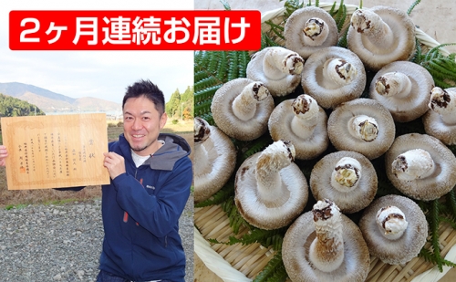 【2ヶ月連続】菌床による、生シイタケで「おーい菌床しいたけ」1kg×2ヶ月 9829 - 福井県おおい町