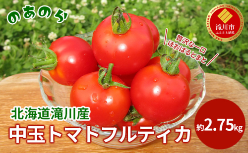 【栽培期間中 農薬不使用 】贅沢な一口ほおばるとまと( 北海道 滝川市 産中玉トマトフルティカ)2.75kg トマト 野菜 やさい フルティカ 中玉トマト 983230 - 北海道滝川市