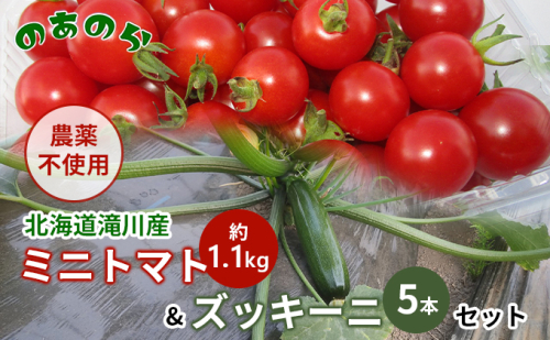 【栽培期間中 農薬不使用 】 北海道 滝川市 産 ミニトマト 約1.1kg& ズッキーニ 5本セット トマト 野菜 やさい みにとまと ずっきーに セット 詰め合わせ 詰合せ 983231 - 北海道滝川市