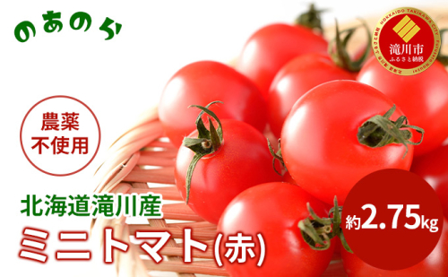 【2026年産先行受付】【栽培期間中 農薬不使用 】 北海道 滝川市 産 ミニトマト (赤) 約2.75kg （2026年7月中旬発送） トマト 野菜 やさい みにとまと 983233 - 北海道滝川市