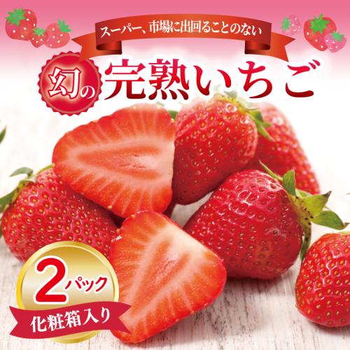 【先行予約】朝摘み 完熟いちご 2パック【化粧箱入り 苺 無添加 自然素材 フルーツ イチゴ 高評価 数量限定】 099H1970 983393 - 大阪府泉佐野市