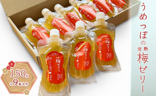 うめっぽの完熟梅ゼリー9本セット　福井県おおい町産梅使用 発酵食品 梅肉 詰め合わせ  9833 - 福井県おおい町