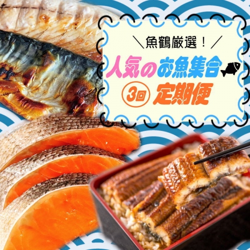 【全3回】魚鶴厳選！人気のお魚集合定期便（さば・銀鮭・うなぎ） 983407 - 和歌山県新宮市