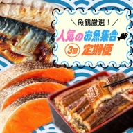 【全3回】魚鶴厳選！人気のお魚集合定期便（さば・銀鮭・うなぎ）