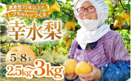 [先行予約]しづちゃんが作る幸水梨 5〜8玉入(2.5〜3kg)農業歴70年以上!※2026年8月中旬以降順次発送予定 [aw075-a006]