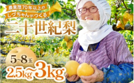[先行予約]しづちゃんが作る二十世紀梨 5〜8玉入(2.5〜3kg) 農業歴70年以上!※2026年9月中旬以降順次発送予定 [aw075-a009]