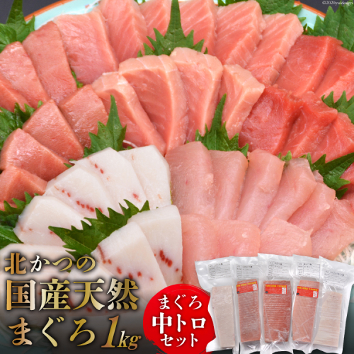 北かつのマグロ 中トロセット [北かつ商事 宮城県 気仙沼市 20563599] 魚 刺身 柵 鮪 まぐろ マグロ 本マグロ 南マグロ 中トロ メカジキ メバチ めばち ビンチョウ 冷凍 魚介類 魚介 新鮮 高級 98355 - 宮城県気仙沼市