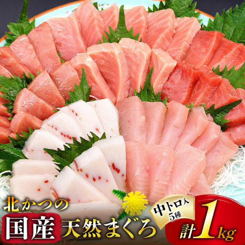 北かつのマグロ 中トロセット [北かつ商事 宮城県 気仙沼市 20563599] 魚 刺身 柵 鮪 まぐろ マグロ 本マグロ 南マグロ 中トロ メカジキ メバチ めばち ビンチョウ 冷凍 魚介類 魚介 新鮮 高級 98355 - 宮城県気仙沼市