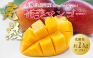 奄美大島産トロピカル完熟マンゴー 1.0kg(2～3玉) - マンゴー 甘い 濃厚 ジューシー 先行予約