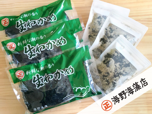 塩蔵わかめ 200g ×3パック 青のりとろろ 22g × 3パック セット 海野海藻店 国産 三陸産 わかめ 青さのり のり とろろ昆布 とろろ 昆布 海藻 茨城 大洗 983686 - 茨城県大洗町