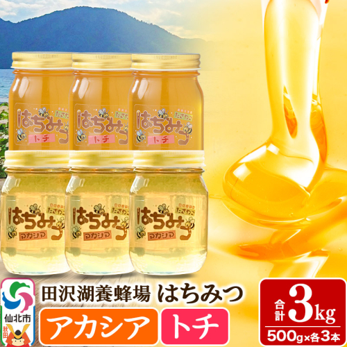 秋田県産はちみつ（アカシア・トチ）500g×各3本 合計3kg 化粧箱入り 詰め合わせセット 田沢湖養蜂場 983688 - 秋田県仙北市