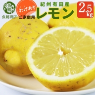 【ご家庭用訳あり】紀州有田産レモン　2.5kg※着日指定不可※2025年3月上旬～3月下旬頃に順次発送予定