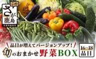 【バージョンアップ】旬のおまかせ野菜BOXセット 16～18品目お届け 冷蔵配送【 野菜 果物 旬 セット 詰め合わせ 】B-690