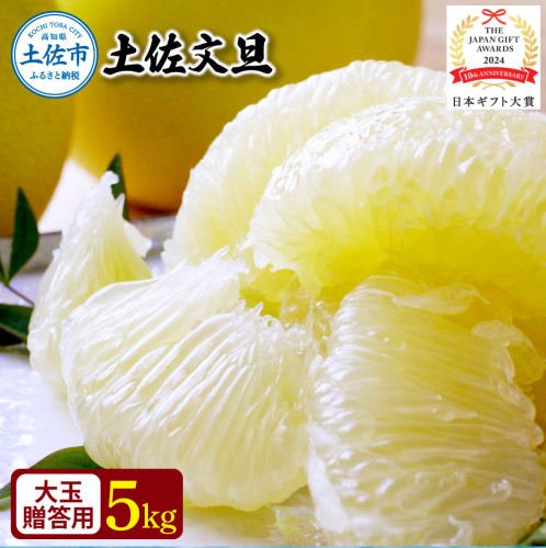 【日本ギフト大賞2024受賞】園主こだわり土佐文旦【化粧箱贈答用：大玉5kg】（3L～2L） 2026年1月下旬より順次発送 やの一果彩 984306 - 高知県土佐市