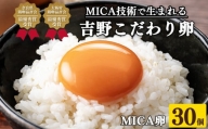 吉野こだわり卵 MICA卵 1箱 L寸（30個）