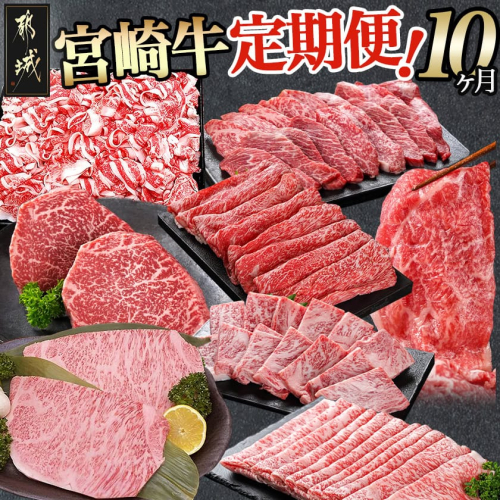 【定期便】宮崎牛(10ヶ月)_T120（10）-0103 984791 - 宮崎県都城市