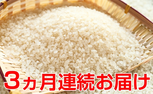 新米！【3ヶ月連続】特別栽培米コシヒカリ　5kg 9851 - 福井県おおい町