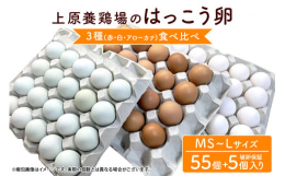 はっこう卵の3種食べ比べセット 白卵、赤卵、アローカナ（青）の食べ比べができます。 はっこう卵とは、お腹の中から元気な鶏に育って欲しいと開発した上原養鶏場オリジナル発行飼料を食べて、鶏本来の力を発揮し