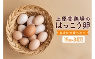 上原養鶏場のはっこう卵　3～4種おまかせ食べ比べ 15個+破卵保障3個